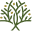 Olive & Vine Logo
